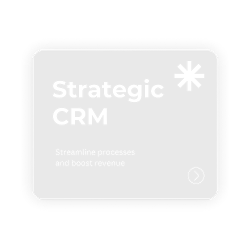 Advanced CRM Strategy service